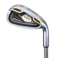 HL-J SW Iron