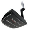 Template Valley Putter